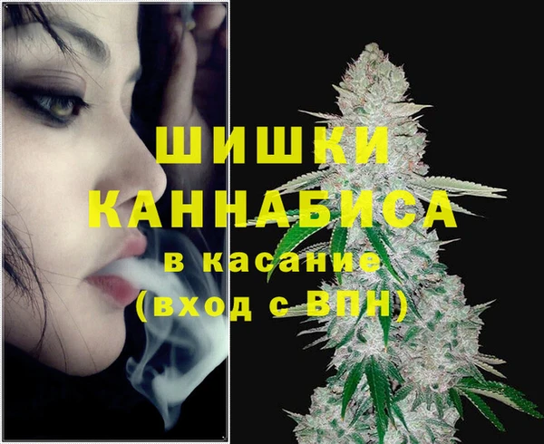 мдпв Лихославль