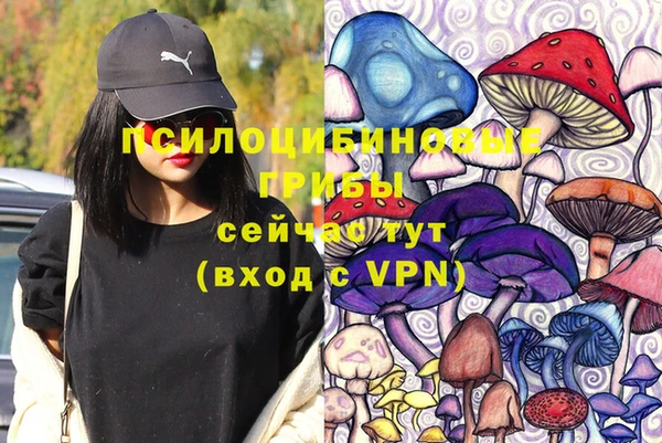 твердый Магадан