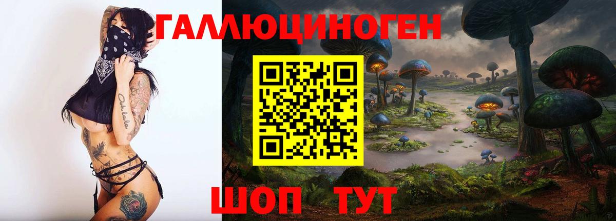 Галлюциногенные грибы прущие грибы Луга